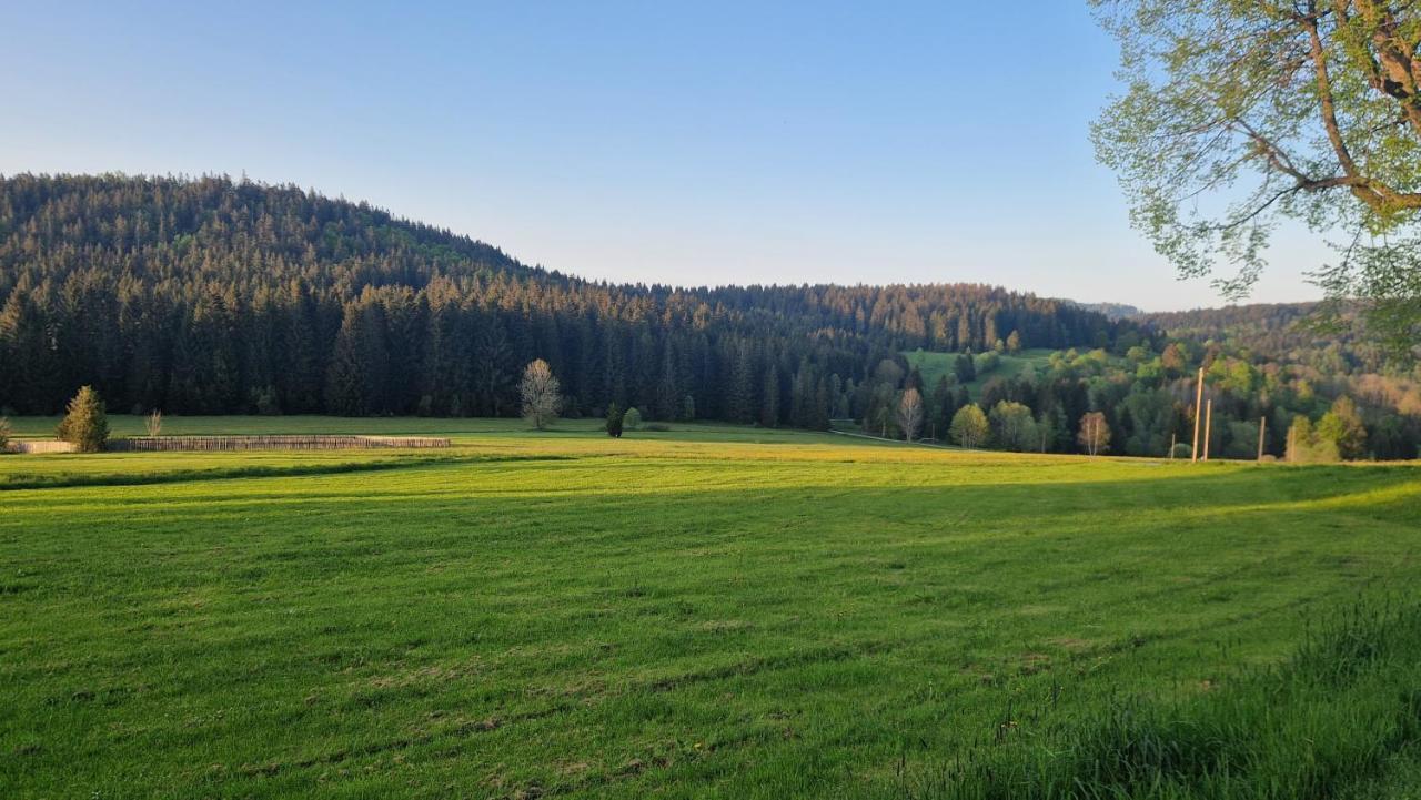 Two Apartaments Almberg - Mitterdorf-Mitterfirmiansreut Dış mekan fotoğraf