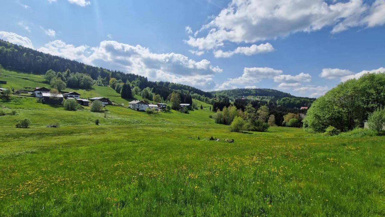 Two Apartaments Almberg - Mitterdorf-Mitterfirmiansreut Dış mekan fotoğraf