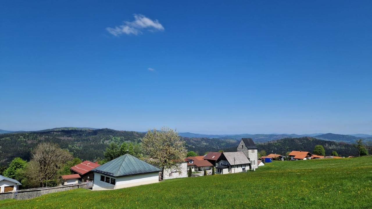 Two Apartaments Almberg - Mitterdorf-Mitterfirmiansreut Dış mekan fotoğraf